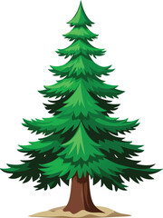 Spruce tree Vector 