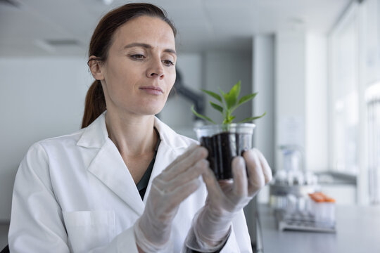 Female Scientist Inspecting Young Plant Growth