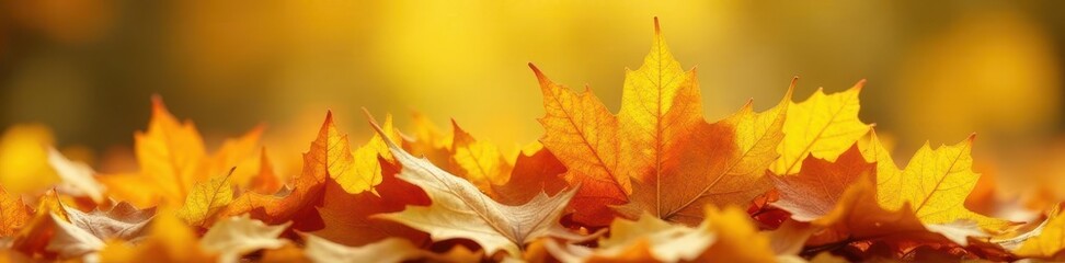 Fototapeta premium Pile of yellow and orange fall leaves against sunny yellow, heap, yellow, vibrant