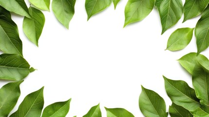 Vibrant Green Leaves Frame: A Nature Inspired Design