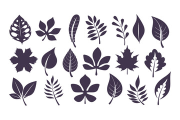 Leaf Silhouette Vector Collection. Diverse Leaf Shapes for Eco-Friendly Branding, Botanical Illustrations, Educational Resources, Art Designs and Nature, Inspired Decor