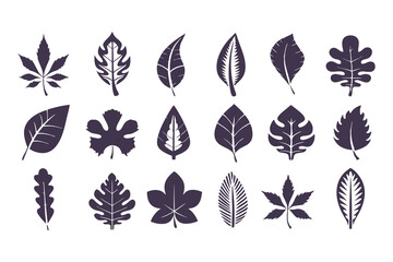 Leaf Silhouette Vector Collection. Diverse Leaf Shapes for Eco-Friendly Branding, Botanical Illustrations, Educational Resources, Art Designs and Nature, Inspired Decor