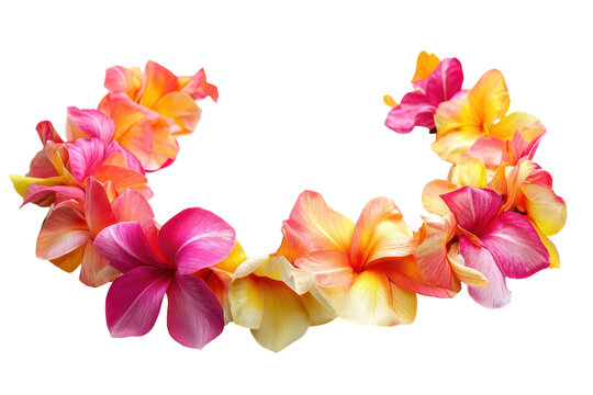 Vibrant tropical flower lei adds a festive touch to beach parties and Hawaiian themed events
