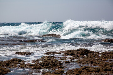 奄美大島、自然、海、リーフ、波。