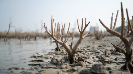 Stunted, leafless plants rise from cracked soil near water, depicting resilience in harsh environments.