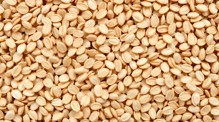 Fototapeta premium The texture of the oats.Background of oat seeds.