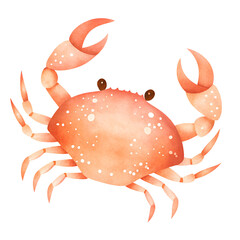 Watercolor illustration of a pink crab with white spots on a transparent background.