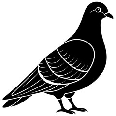Obraz premium vector illustration of a pigeon