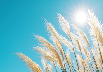 ears of wheat on blue sky background