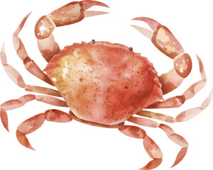 Watercolor illustration of a red crab on a transparent background.