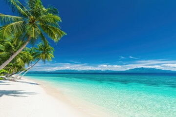 Naklejka premium Serene tropical beach with palm trees and crystal clear turquoise water under a bright blue sky at daytime