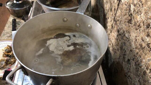Placuna saddle oysters, also known as windowpane or capiz oysters, are soaked in hot boiling water so that the meat falls out on its own