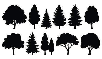 A set of tree silhouettes with leaves and branches in black vector illustration featuring various tree types like pine, birch, oak, and palm in an autumn park design