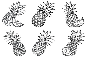 Collection of Six Hand Drawn Pineapples in Black and White Illustration
