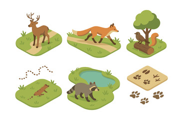 Obraz premium Wildlife icons set – deer, fox, squirrel, snake trail, raccoon, pond, paw prints