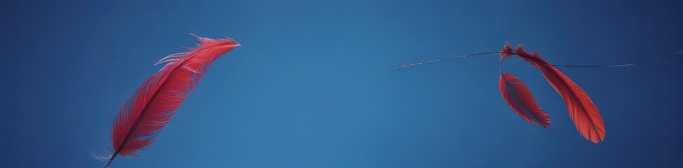 A single red and blue feather dangles from a thin string against a vibrant blue backdrop , colorful, delicate