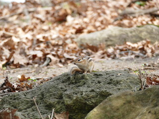 High Park, Toronto, Canada