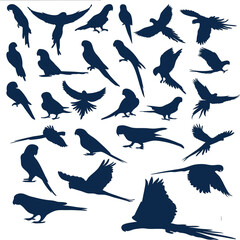 Print parrot silhouette icons black and white vector collection featuring wings, beaks, feathers, and flight poses for nature and wildlife design.