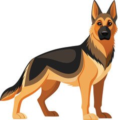 German Shepherd