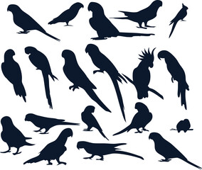 Parrot bird silhouettes set illustration in flat style, suitable for print, digital, or logo use.