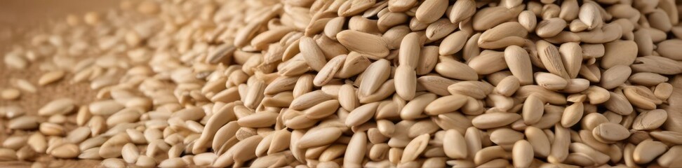 Obraz premium A large pile of raw sunflower seeds, hulls intact , rural, sunflower seeds