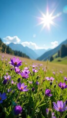 Obraz premium Purple, pink wildflowers carpet a sun-drenched meadow under a vibrant blue sky , vegetation, design