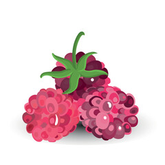 Lush Close-Up of Fresh Pink Raspberries with Glossy Texture and Green Stem on Vibrant Backdrop – A Visual Celebration of Tropical Freshness and Culinary Art for Organic Food Photography and Branding