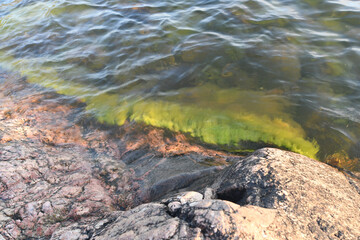 Rocky beach in the archipelago in Finland in summer