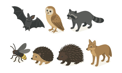 Fototapeta premium Nocturnal wildlife icons set – bat, owl, raccoon, wolf, bee, hedgehog, porcupine