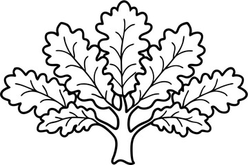 Fototapeta premium Rustic Oak Tree Outline Illustrations