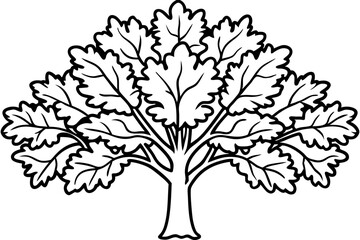 Rustic Oak Tree Outline Illustrations