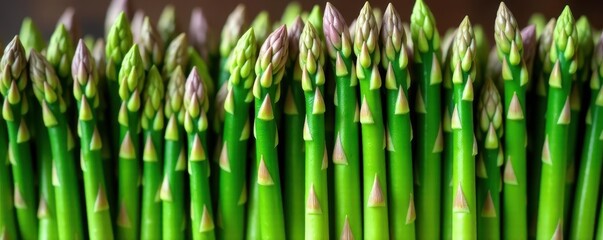 Fototapeta premium Vibrant green asparagus spears, freshly harvested , bundle, color