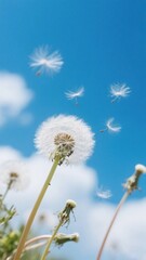 Dandelion Seeds Blowing in the Wind Against a Blue Sky