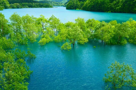 緑の湖面 91cm×122cm 秋扇湖 Images – Browse 206 Stock Photos, Vectors, and Video