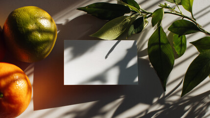 Minimalist White Business Card Resting on Juicy Poranges with Green Leaves