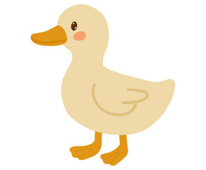 Duck Single cute on White background, vector illustration in flat style Kawaii little baby bird. Element for decorate clothe printing or make sticker.