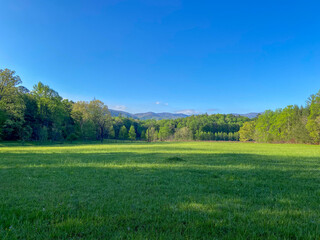 Landscapes in the Mountain
