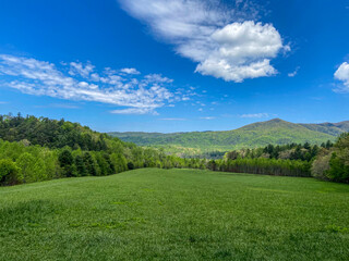 Landscapes in the Mountain