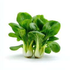 Fresh bok choy vegetable isolated on white background