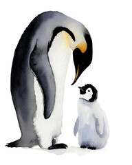 Watercolor illustration of adult penguin with chick on transparent background.