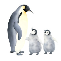 Watercolor illustration of adult penguin with two chicks on transparent background.