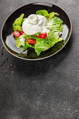Burrata cheese salad buffalo milk cheese salad dish fresh delicious gourmet food background on the table rustic food top view copy space keto and paleo diet vegetarian