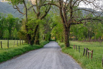 Landscapes in the Mountain