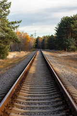 Fototapeta premium Railway track running straight through autumn forest Travel concept