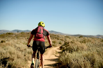 Obraz premium Sports, nature and back of cyclist with exercise, challenge or cardio workout for endurance. Fitness, outdoor and athlete riding mountain bike for cycling race, competition or triathlon training.