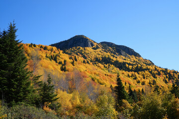 Mountain Covered in Autumn Colors