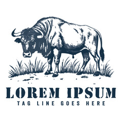 Hand-drawn bull logo, bold and rough lines, strong expression, masculine vintage style