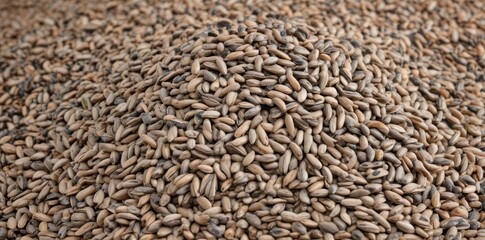 Obraz premium A mound of speckled sunflower seeds, ready for planting or snacking , botany, abundance