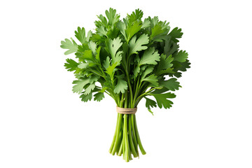 A bunch of fresh herbs, such as parsley or cilantro, are tied together with a string. The herbs are vibrant and green, and they are arranged in a neat bundle