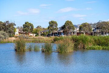 A suburban wetland with aquatic plants and a row of modern residential houses in the background,...